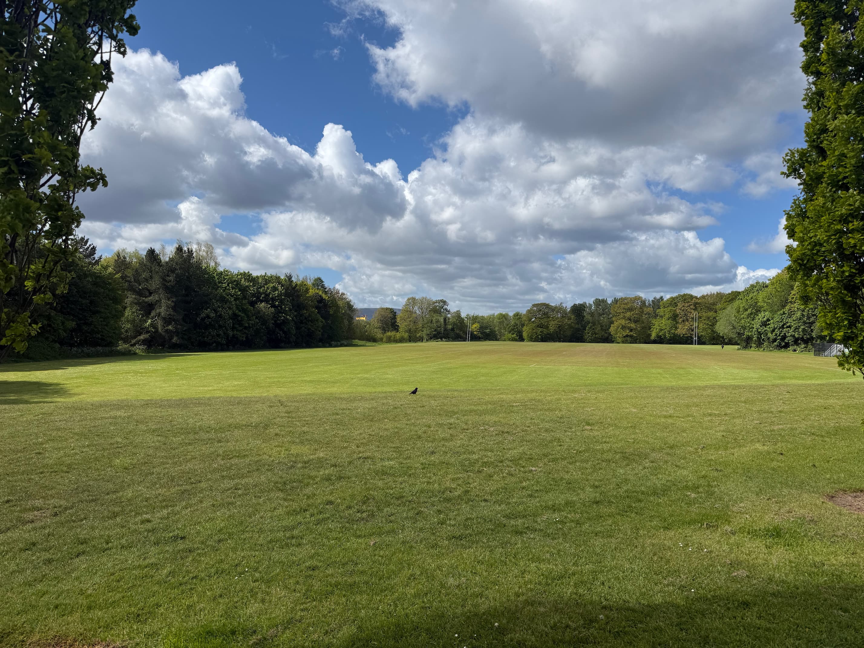A view of Orangefield Park from Houston Park